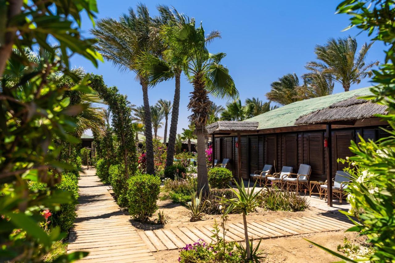 Abu Dabbab Lodge Exteriér fotografie