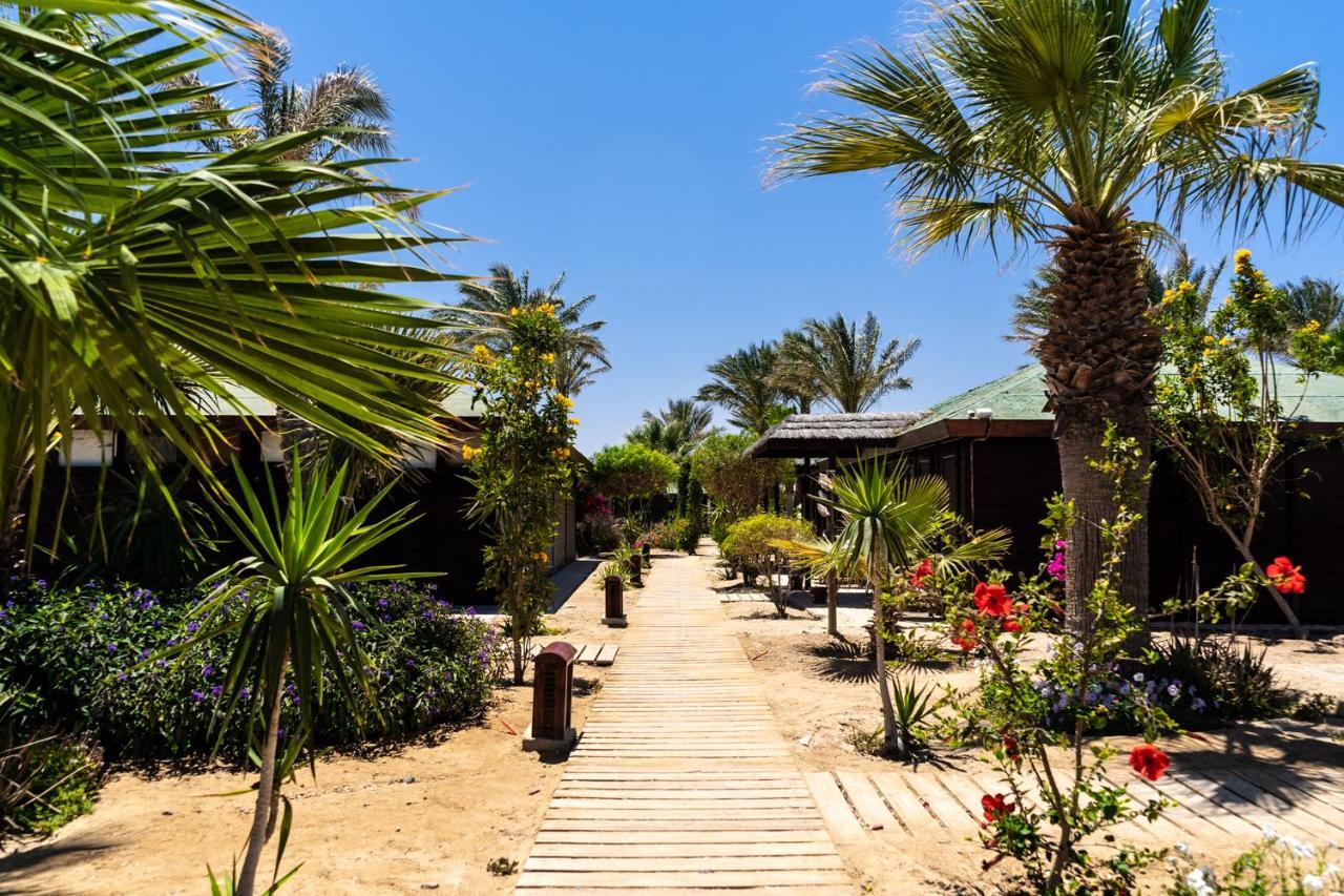 Abu Dabbab Lodge Exteriér fotografie